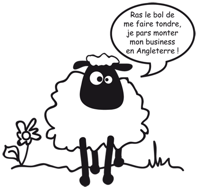 Mouton : Ras le bol de me faire tondre je pars monter mon business en Angleterre !